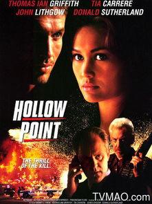 危机风暴,挑战与机遇的交织