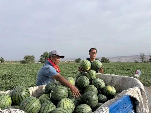 一起来吃瓜能提现吗,揭秘提现真相！